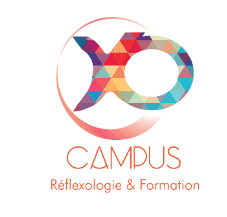Lire la suite à propos de l’article Formation en Réflexologie Auriculaire par XO Campus