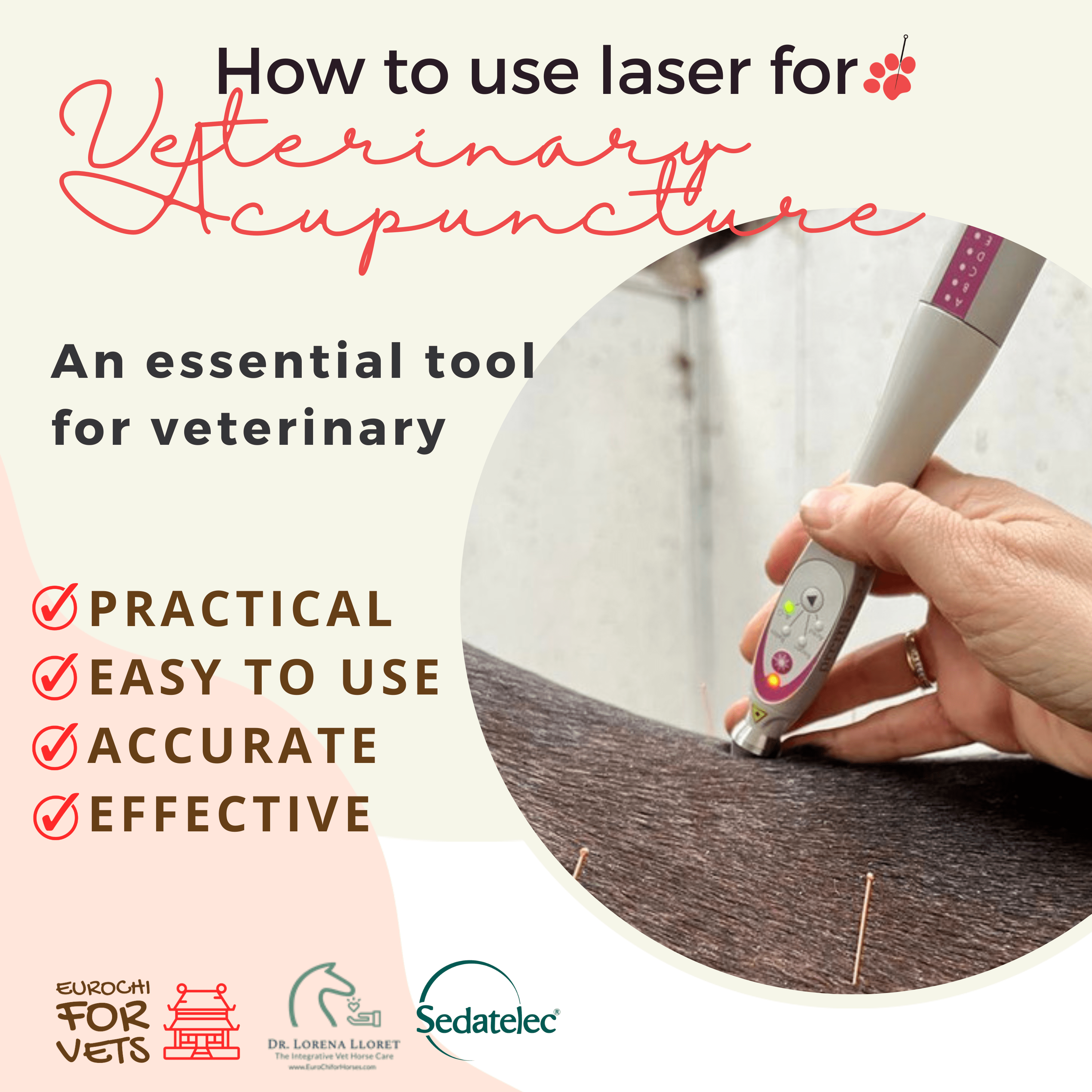 Read more about the article Laser for Veterinary Acupuncture with Dr Lorena Lloret