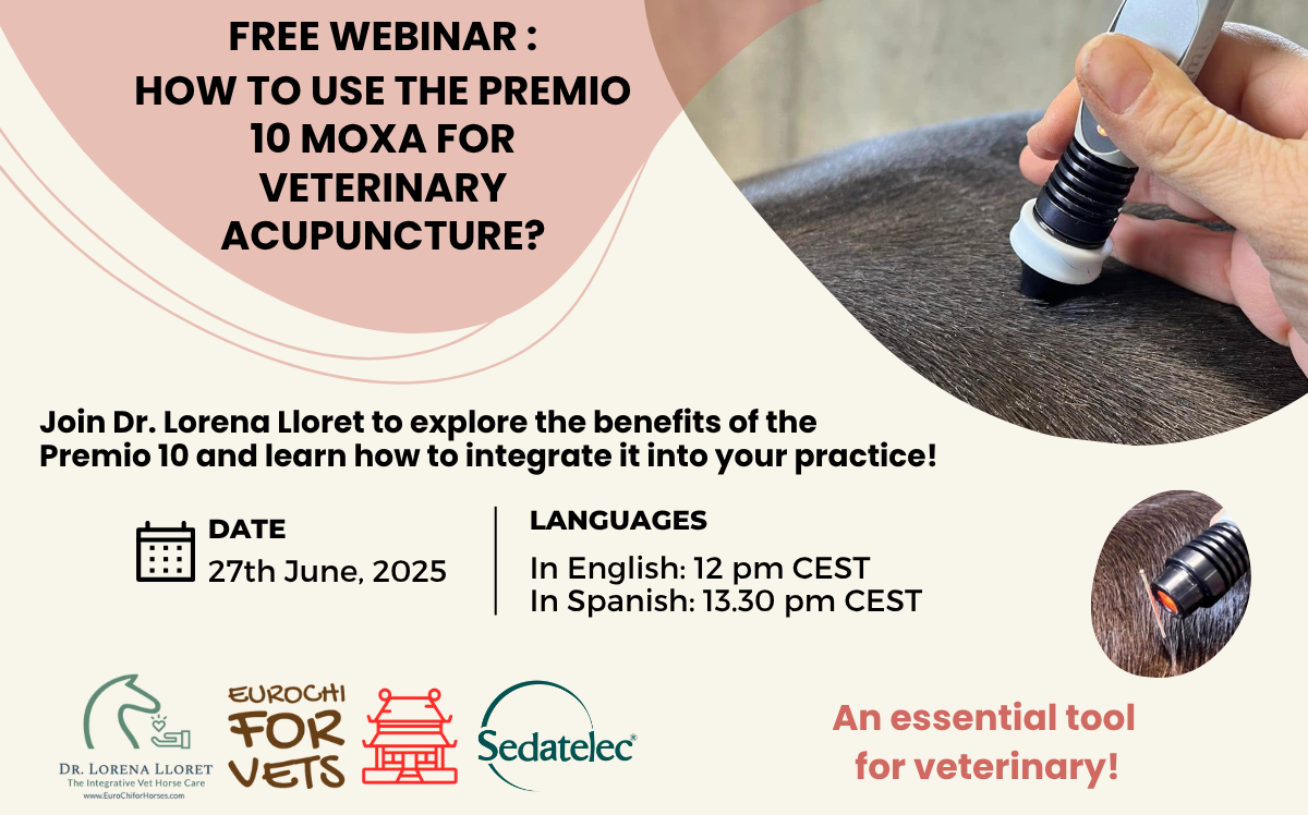 Read more about the article Free Webinar : Premio 10 Moxa for Veterinary Acupuncture with Dr Vet. Lorena Lloret