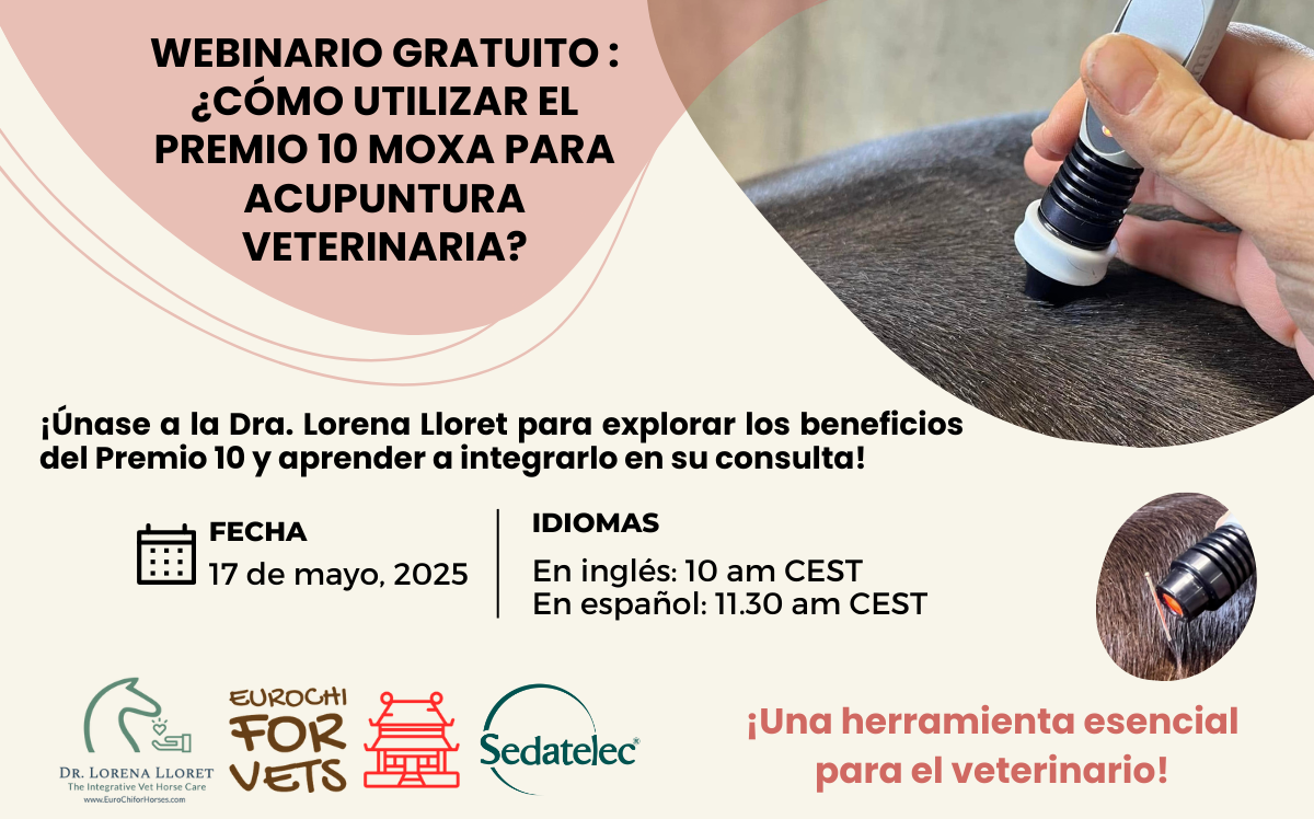 Lee más sobre el artículo Webinario gratuito: Premio 10 Moxa para acupuntura veterinaria con la Dra. Vet. Lorena Lloret