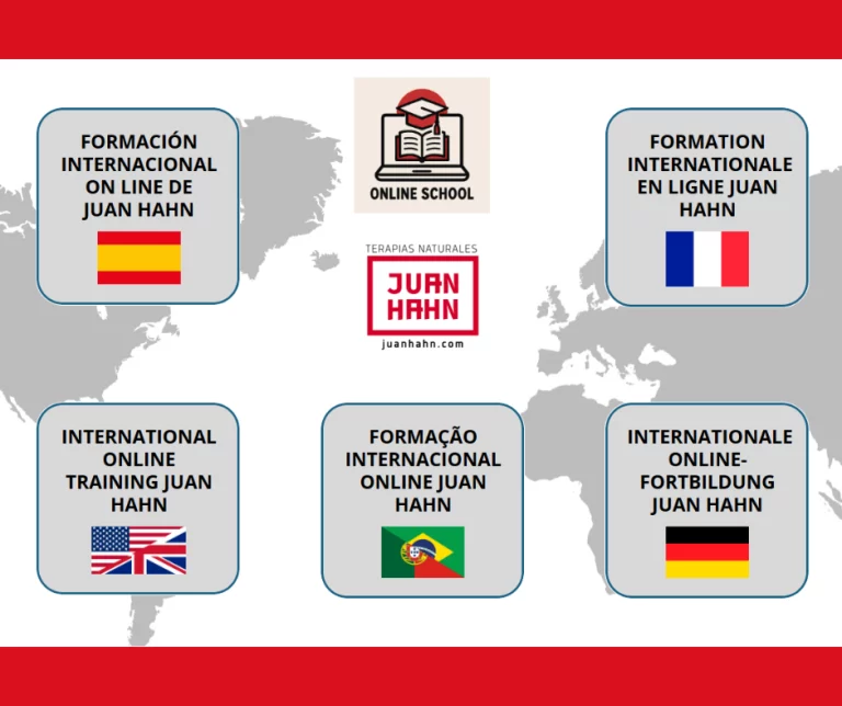Juan Hahn International training online