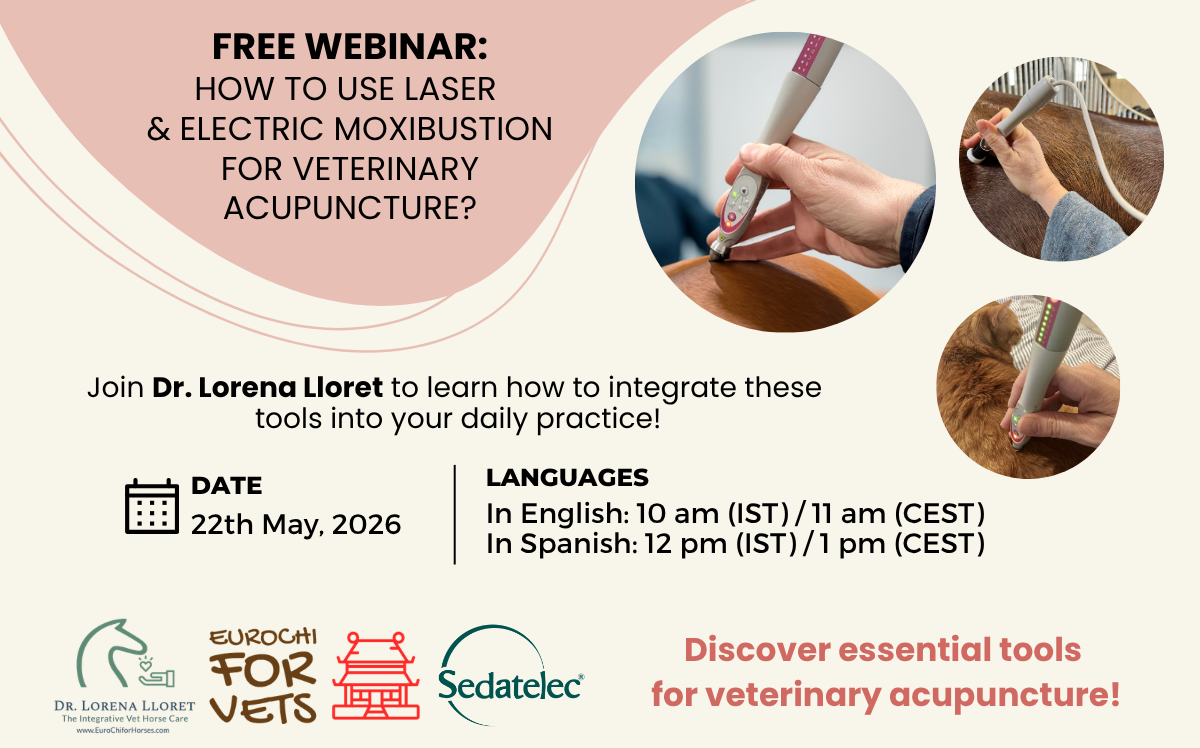 Read more about the article Free Veterinary Webinar: Laser & Electric Moxibustion in Acupuncture _ Dr Lorena Lloret