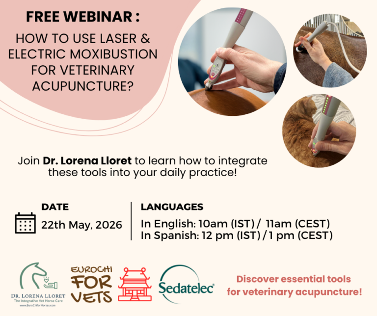 Discover how to use laser therapy and electric moxibustion in veterinary acupuncture through real clinical cases. Join this free online workshop with Dr. Lorena Lloret. Date : 22th of may