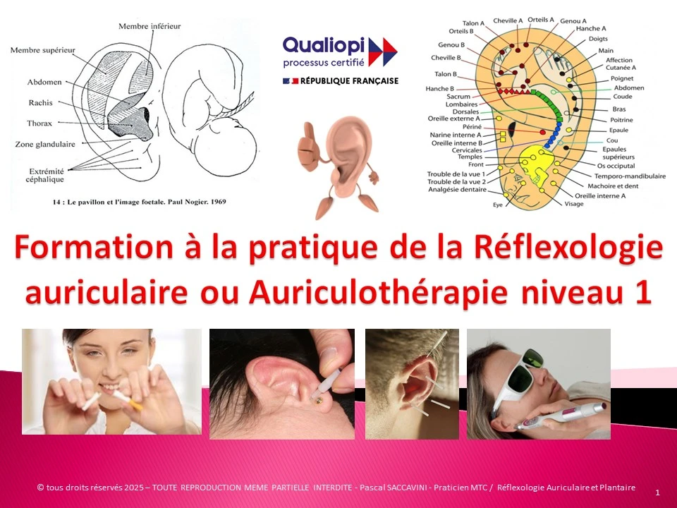 Une formation mensuelle certifiée Qualiopi pour maîtriser la réflexologie auriculaire, alliant théorie à distance et pratique intensive en présentiel, avec le matériel Sedatelec.